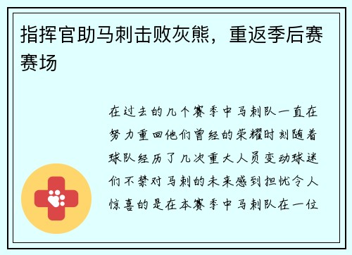 指挥官助马刺击败灰熊，重返季后赛赛场