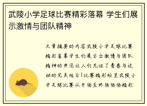 武陵小学足球比赛精彩落幕 学生们展示激情与团队精神